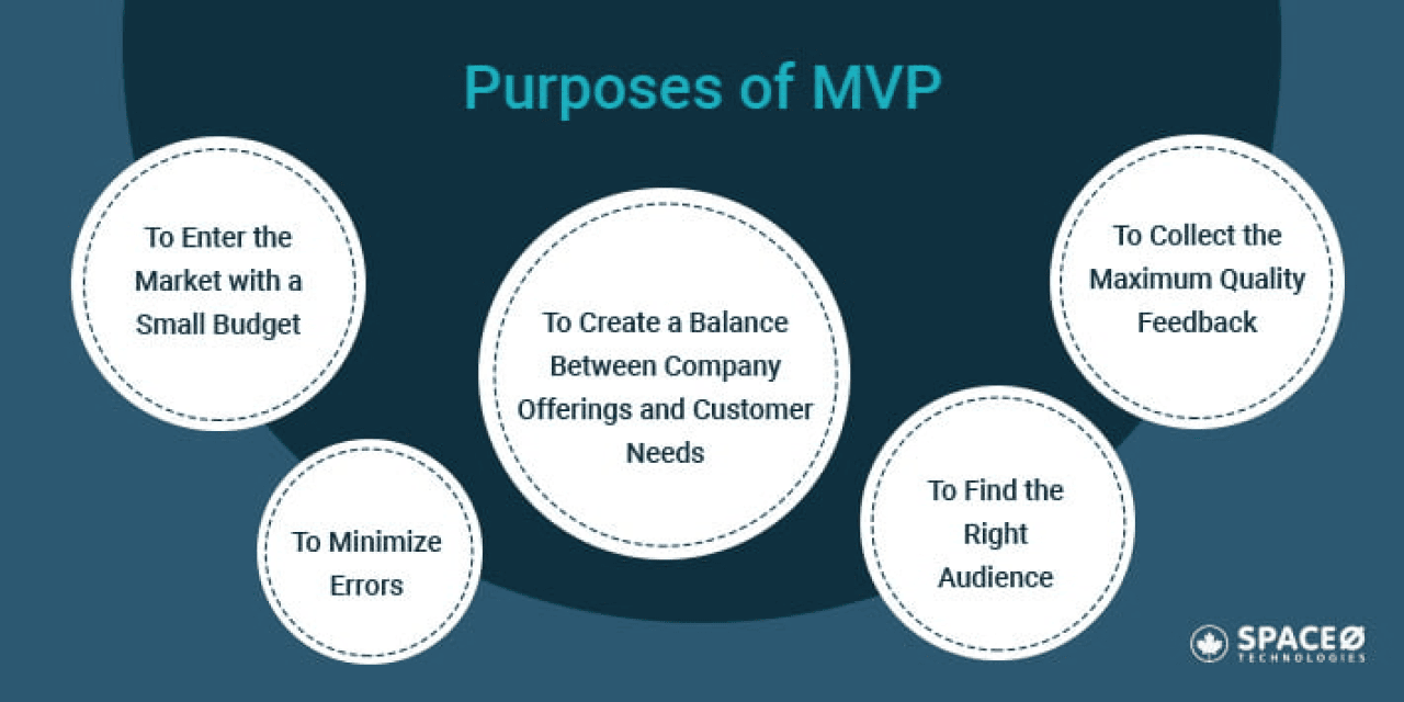 Purposes of MVP
