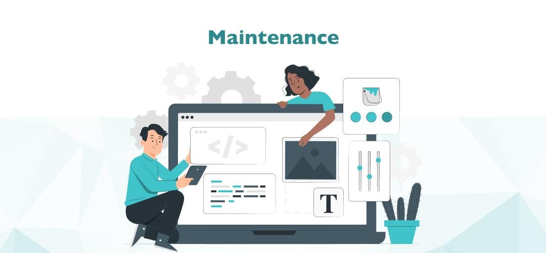 maintenance of eCommerce plugins