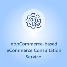 nopCommerce-based eCommerce Consultation Service
