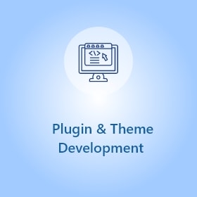 Plugin & Theme Development