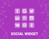 Social Widget (Facebook, Twitter,  etc) (foxnetsoft.com) resmi