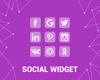 Изображение Social Widget (Facebook, Twitter,  etc) (foxnetsoft.com)