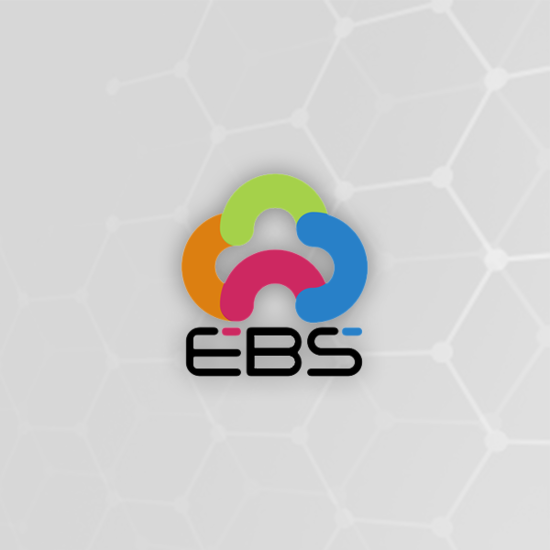 Bild von EBS Payment Plugin