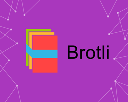 Imagen de Brotli Compression (foxnetsoft.com)