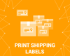 Picture of Print Shipping Labels (Avery, Zebra) (foxnetsoft.com)