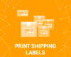 Ảnh của Print Shipping Labels (Avery, Zebra) (foxnetsoft.com)