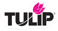 Tulip Color