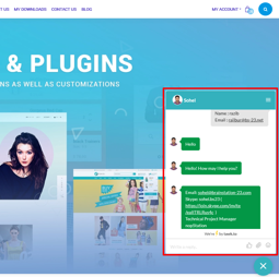 Live Chat Plugin using any tawk.to, Zopim etc. の画像