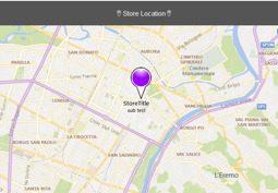 Immagine di BingMap Store Location