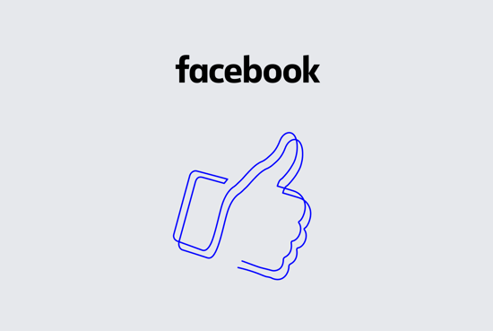 Facebook feeder resmi