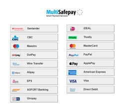 Picture of MultiSafepay Payment Plugin