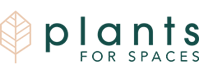 Plant For Spaces