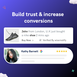 图片 WiserNotify Social Proof