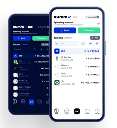 Picture of Xumm Payment Module