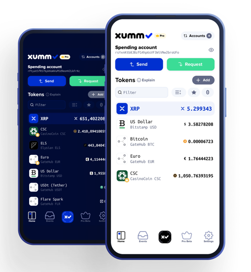 Picture of Xumm Payment Module